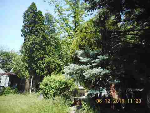 11807 Elmdale (3)_m.jpg